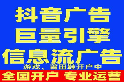 竞价广告在XX行业的成功应用案例